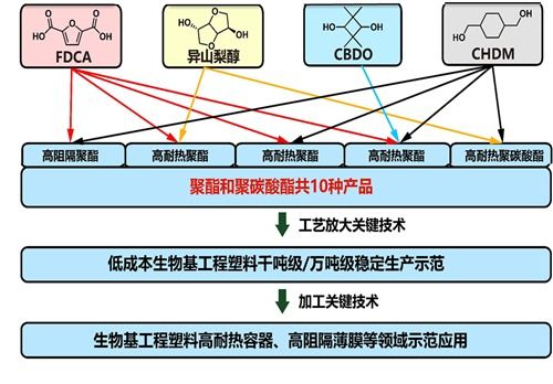 寧波材料所國家重點研發(fā)計劃項目獲批立項，生物基材料技術研發(fā)開啟新篇章